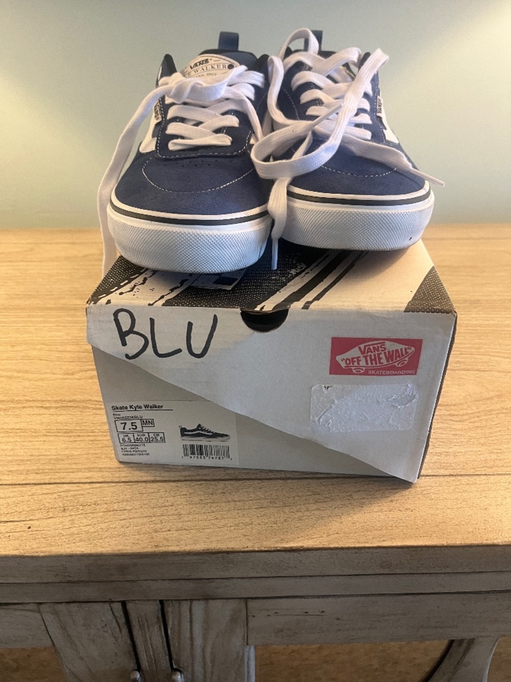 Mens Vans Kyle Walker Skate Sneaker